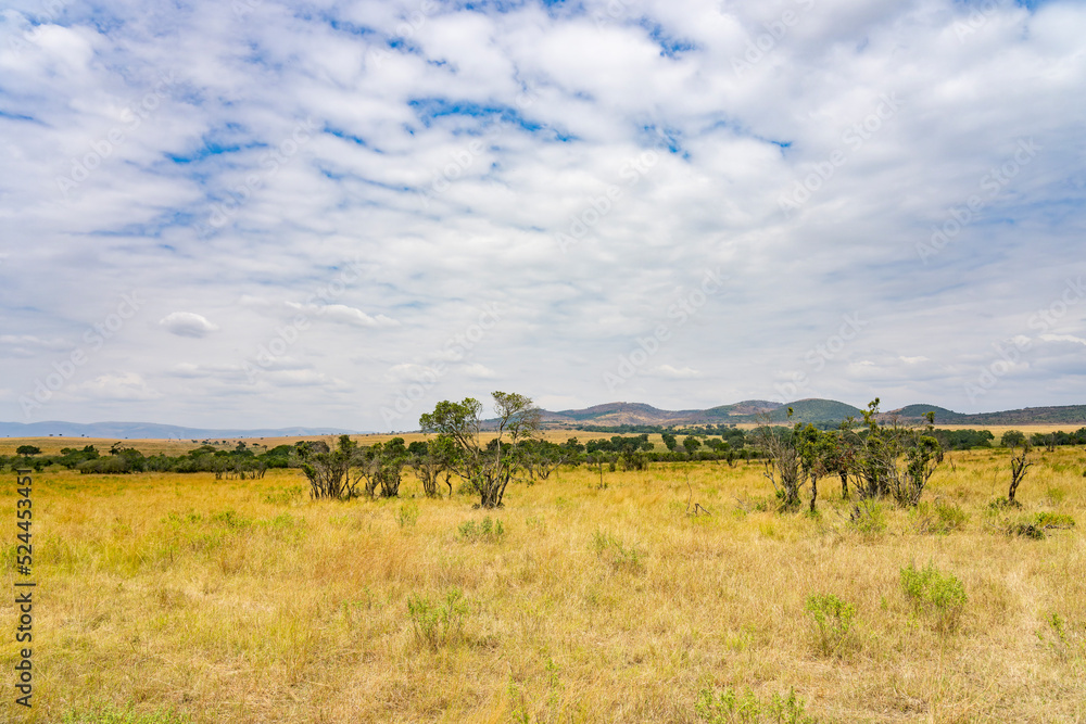 Masai mara National Park in Kenya
