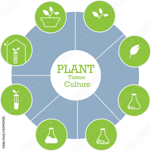 tissue culture