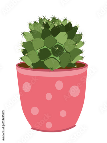 Beautiful cactus tree plants vector illustration design element red pot