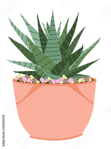 Beautiful cactus tree plants vector illustration design element pink pot