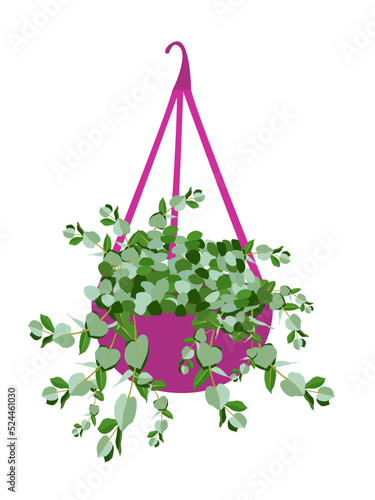 Beautiful tree plants vector illustration design element hanging pot
