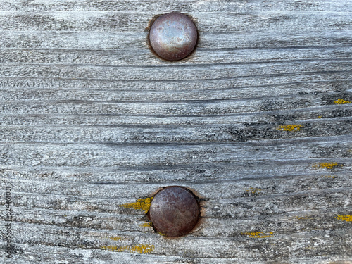 Old wood texture with knots and nails. Dirty and weathered wood, boards of a bench.