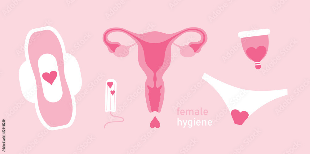 set of female hygiene products menstruation women uterus sanitary tampon set of female hygiene products menstruation women uterus sanitary tampon