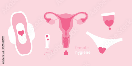 set of female hygiene products menstruation women uterus sanitary tampon