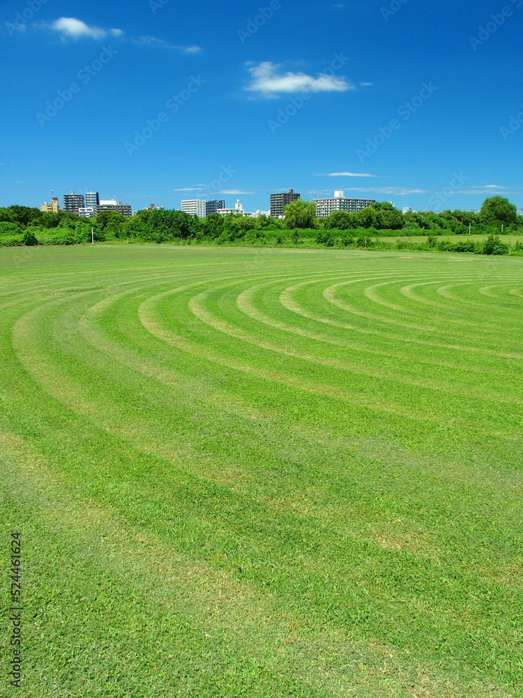 Naklejka premium 江戸川河川敷の除草された跡の残る真夏の野球場風景