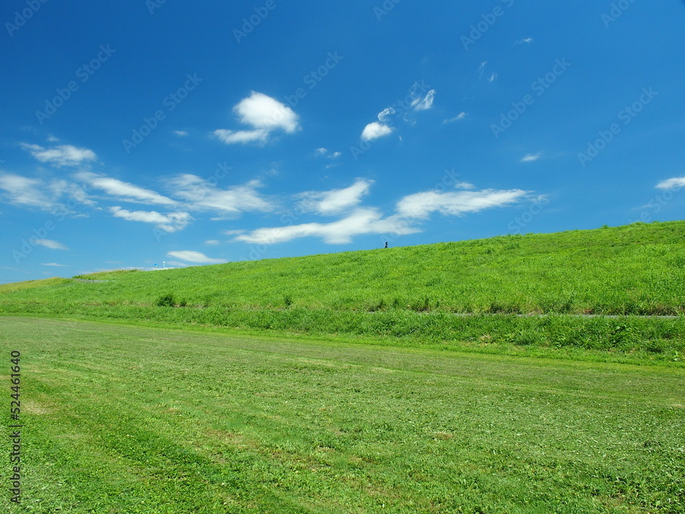 真夏日に散歩する人のいる江戸川土手と除草された河川敷風景