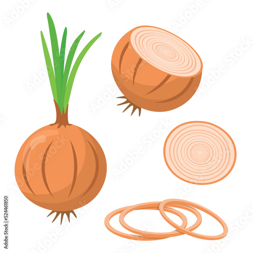 Onion whole and cut isolated on white background, flat style