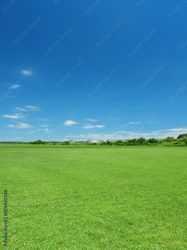 真夏の誰もいない江戸川河川敷の野球場風景