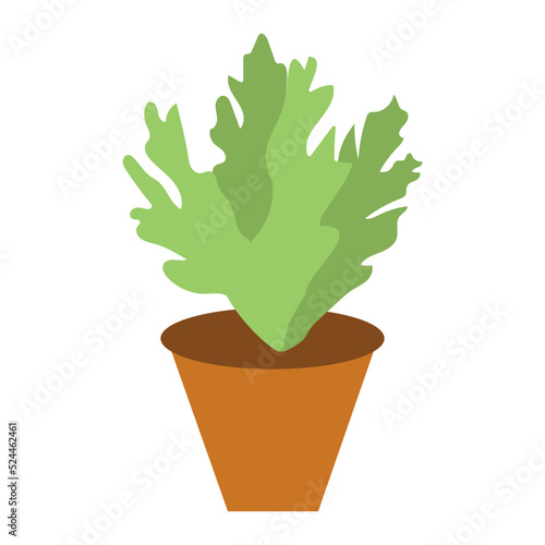 Indoor Plant succulents Concept,  Dry Soil Terra cotta pots vector color icon design, 