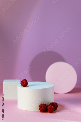 Background for Branding Round Geometric Podium and Raspberry Empty Platform for Product Advertising and Presentation Pink Background Shadow