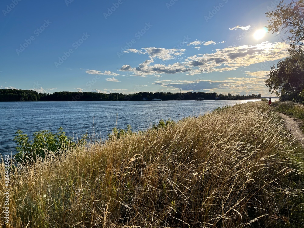 view of the river and the forest, dry grass, sunny day