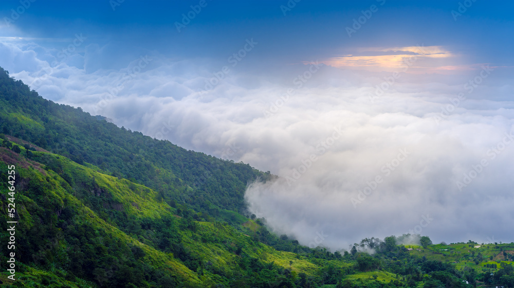 Sea of fog at Phu Thap Boek high mountain in Phetchabun Province, Thailand.