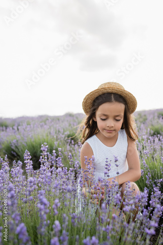 child in straw hat and white dress sitting in field with flowering lavender.