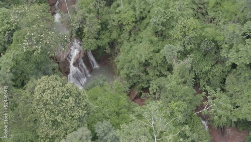 4k Aerial shot for amazon river and the rain forest in brazil rainforest. shot on MAVIC 2 PRO hasselblad rendered prores 422HQ D-log