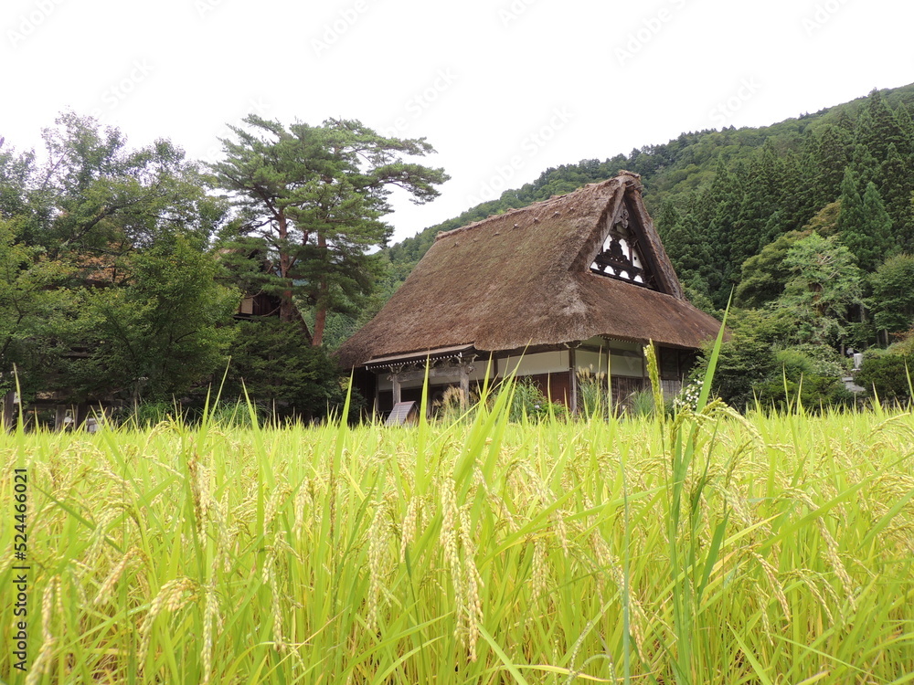 Japón rural
