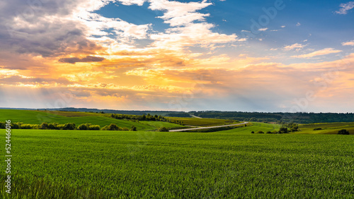 sunset over field