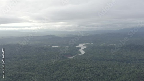 4k Aerial shot for amazon river and the rain forest in brazil rainforest. shot on MAVIC 2 PRO hasselblad rendered prores 422HQ D-log