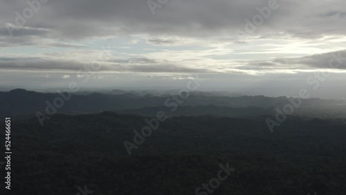 4k Aerial shot for amazon river and the rain forest in brazil rainforest. shot on MAVIC 2 PRO hasselblad rendered prores 422HQ D-log