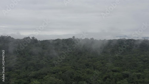 4k Aerial shot for amazon river and the rain forest in brazil rainforest. shot on MAVIC 2 PRO hasselblad rendered prores 422HQ D-log