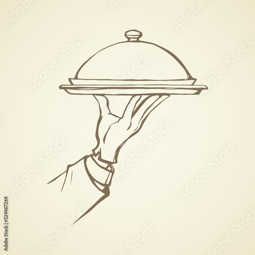 Hand of waiter with dish. Vector drawing