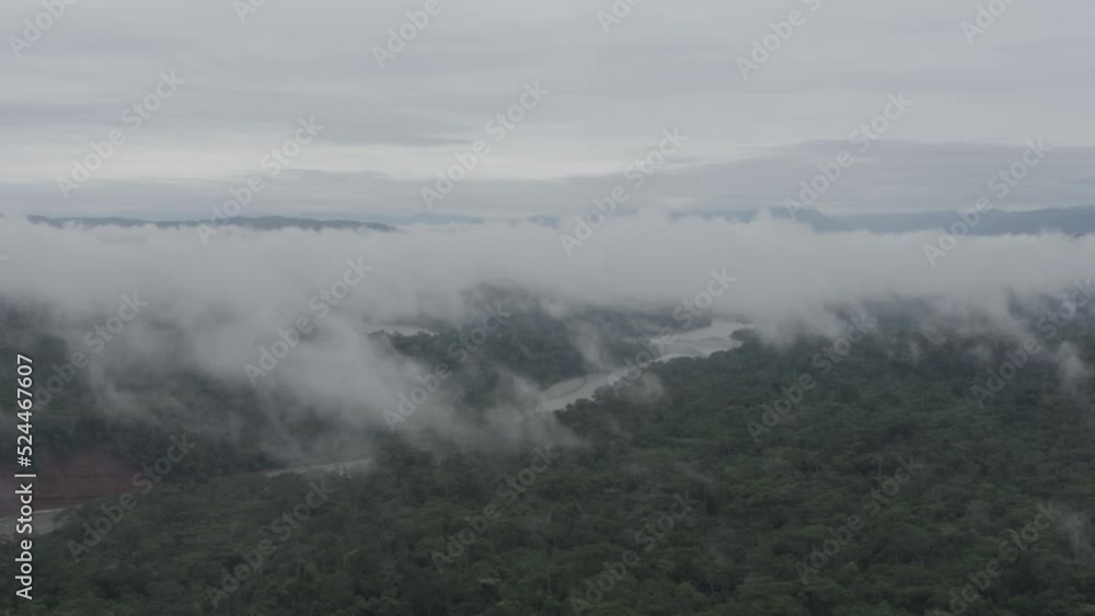 4k Aerial shot for amazon river and the rain forest in brazil rainforest. shot on MAVIC 2 PRO hasselblad rendered prores 422HQ D-log