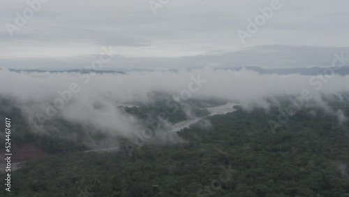 4k Aerial shot for amazon river and the rain forest in brazil rainforest. shot on MAVIC 2 PRO hasselblad rendered prores 422HQ D-log