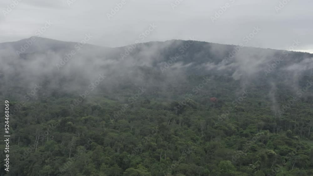 4k Aerial shot for amazon river and the rain forest in brazil rainforest. shot on MAVIC 2 PRO hasselblad rendered prores 422HQ D-log 4k Aerial shot for amazon river and the rain forest in brazil rainforest. shot on MAVIC 2 PRO hasselblad rendered prores 422HQ D-log