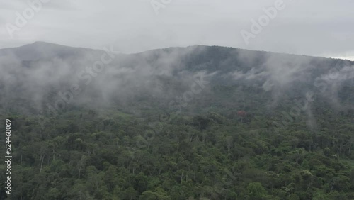 4k Aerial shot for amazon river and the rain forest in brazil rainforest. shot on MAVIC 2 PRO hasselblad rendered prores 422HQ D-log