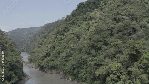 4k Aerial shot for amazon river and the rain forest in brazil rainforest. shot on MAVIC 2 PRO hasselblad rendered prores 422HQ D-log