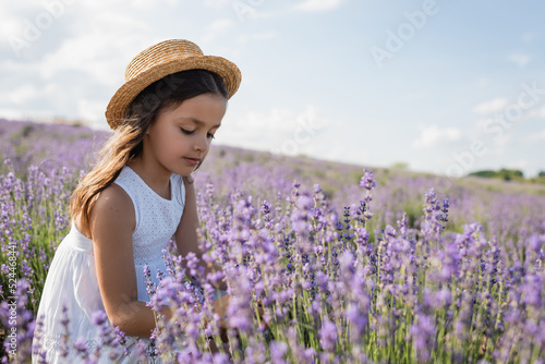kid in straw hat and summer dress in meadow with blooming lavender.