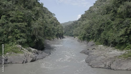 4k Aerial shot for amazon river and the rain forest in brazil rainforest. shot on MAVIC 2 PRO hasselblad rendered prores 422HQ D-log