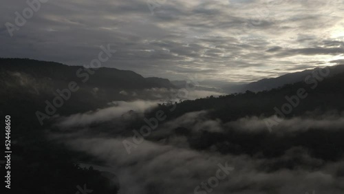 4k Aerial shot for amazon river and the rain forest in brazil rainforest. shot on MAVIC 2 PRO hasselblad rendered prores 422HQ D-log