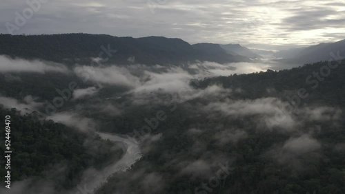 4k Aerial shot for amazon river and the rain forest in brazil rainforest. shot on MAVIC 2 PRO hasselblad rendered prores 422HQ D-log
