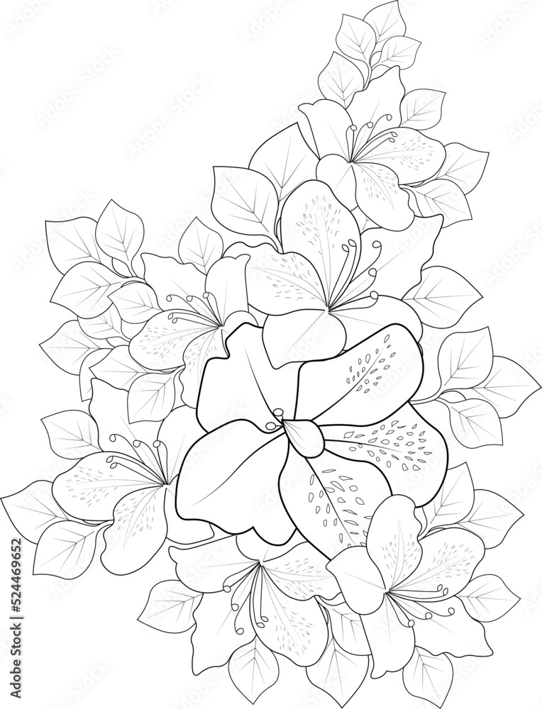 Hand drawn flowers vector, outline, blossom, evergreen azalea flower for adult coloring pages,
