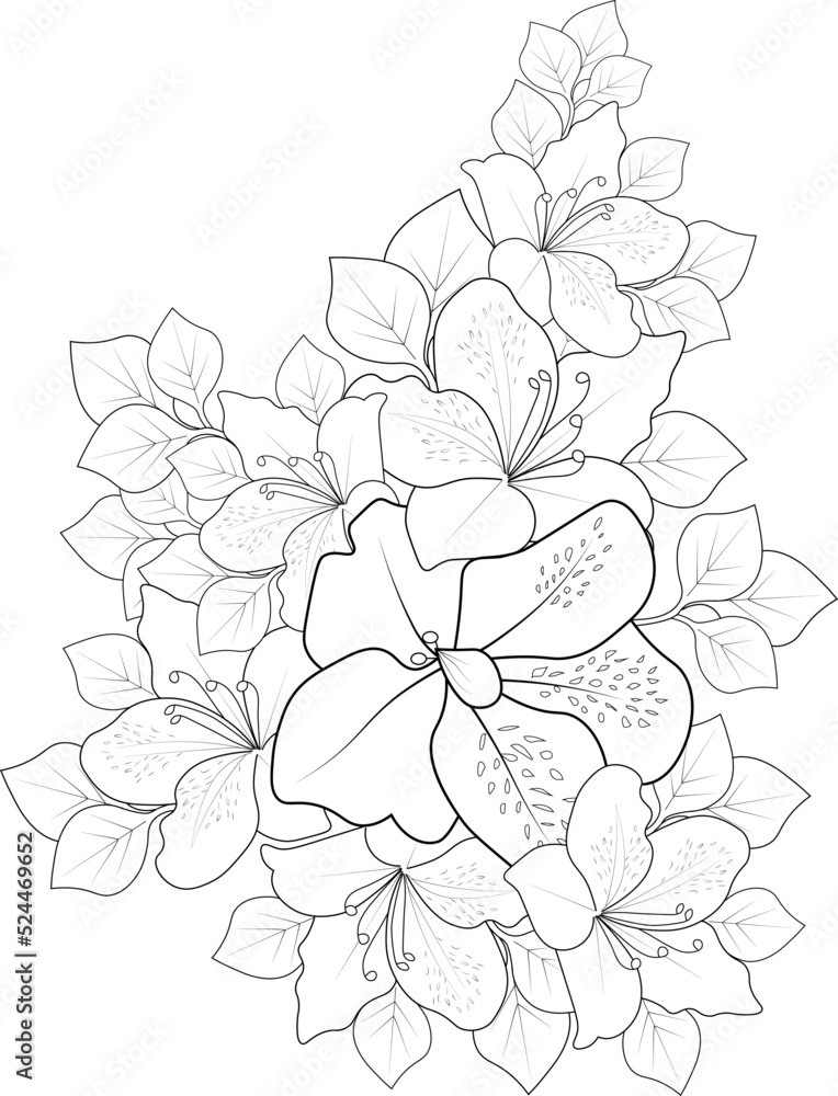 Hand drawn flowers vector, outline, blossom, evergreen azalea flower for adult coloring pages,
Hand drawn flowers vector, outline, blossom, evergreen azalea flower for adult coloring pages,