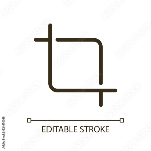 Crop picture pixel perfect RGB color ui icon. Photography composition. Resizing. Simple filled line element. GUI, UX design for mobile app. Vector isolated pictogram. Editable stroke. Arial font used