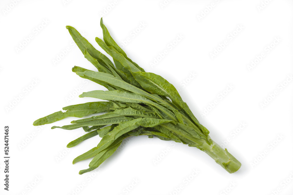 Green organic lettuce Aysun on white background isolated with clipping path. Green organic lettuce Aysun on white background isolated with clipping path.