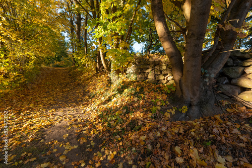 Natural stone wall on a path covered with colorful autumn leaves photo