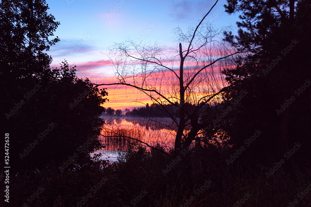 Scenic sunrise by the lake with morning fog. Pastel colors of sky, mist above the water and dark silhouette of trees. Magic, moody landscape of a dawn.