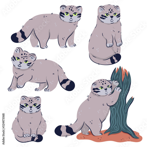 Set of cute manul cats isolated on white background. Vector graphics.