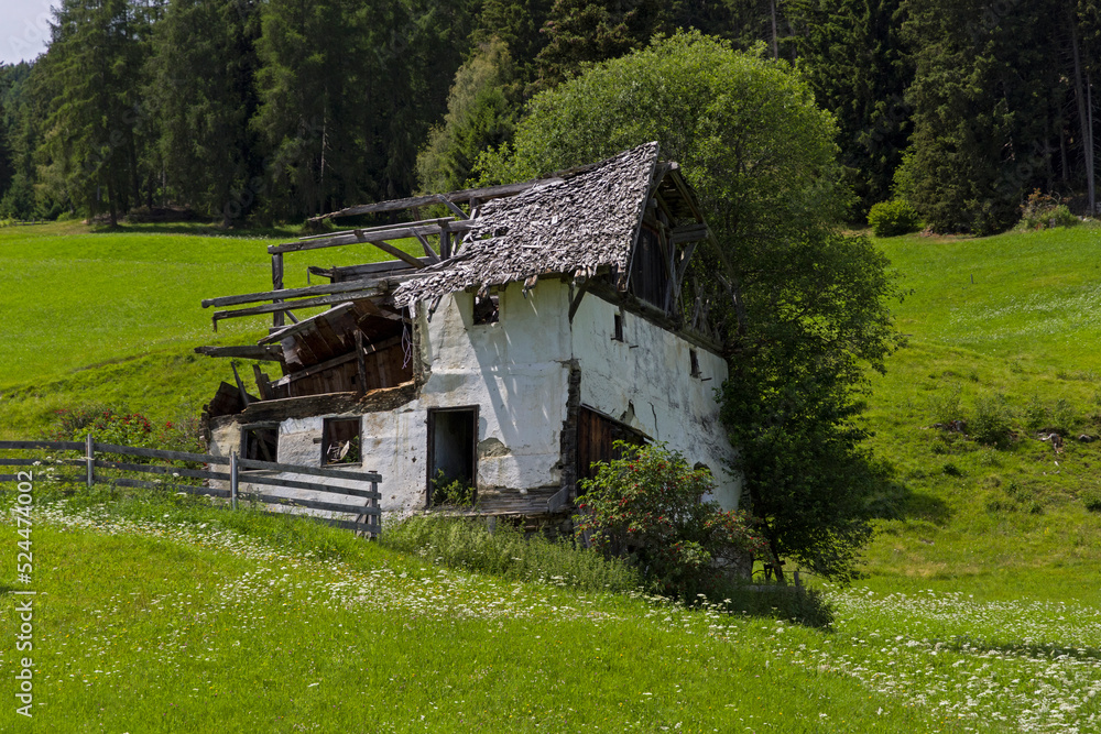 Fototapeta premium Verfallene Hütte