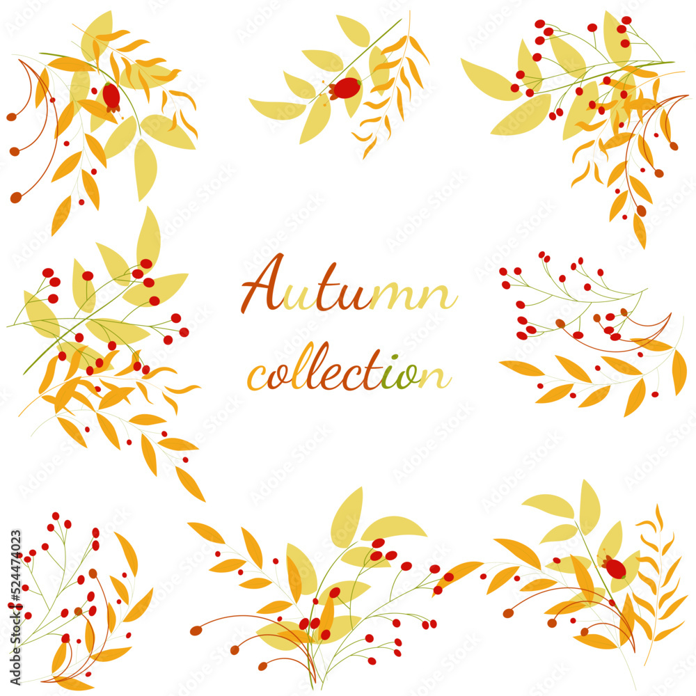 Set of autumn leaves and berries. Autumn collection. For your design. Set of autumn leaves and berries. Autumn collection. For your design.