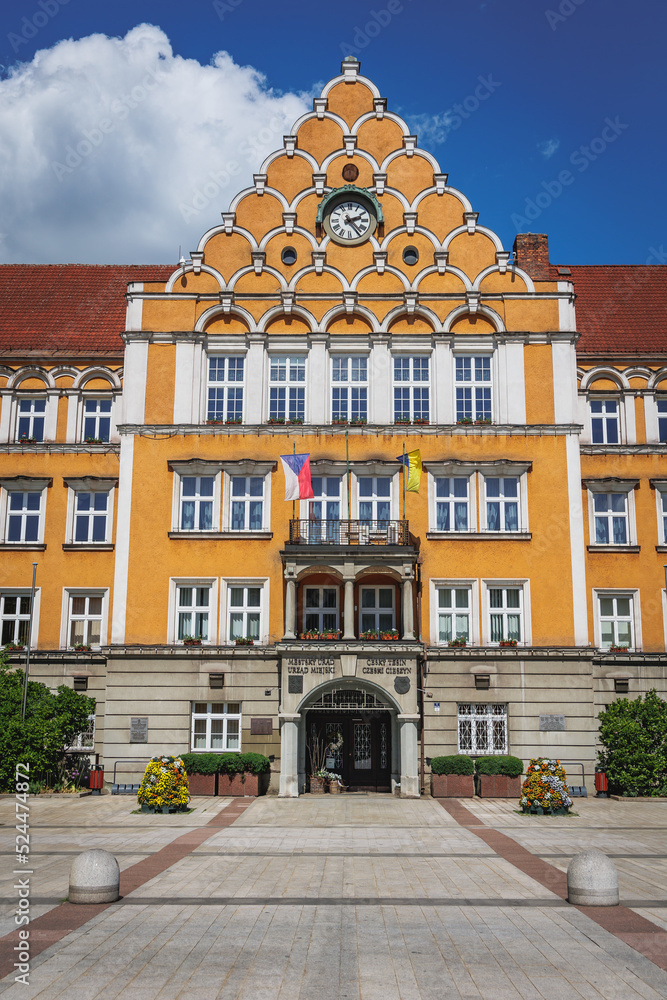 Naklejka premium Frontage of Town Hall on a Square of Czechoslovak Army in Cesky Tesin, Czech Republic