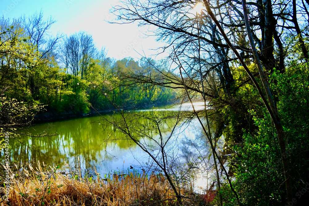 Obraz premium Heustadtlwasser in der Prater Hauptallee Wien 