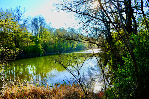 Heustadtlwasser in der Prater Hauptallee Wien 