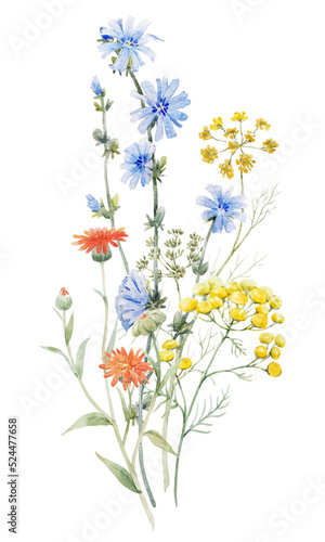 Beautiful floral bouquet with watercolor hand drawn summer wild field flowers. Stock clip art illustration.