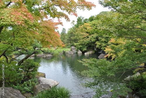 japanese garden pond © Rebekka