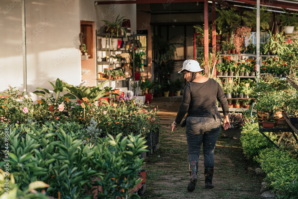 woman on her back walking in the middle of her nursery while looking at the plants. woman on her back walking in the middle of her nursery while looking at the plants.