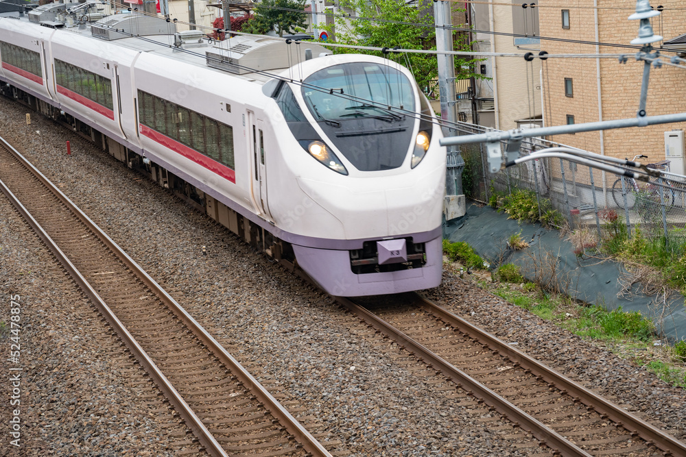 Naklejka premium 品川を目指す、常磐線の特急電車（南柏駅付近）