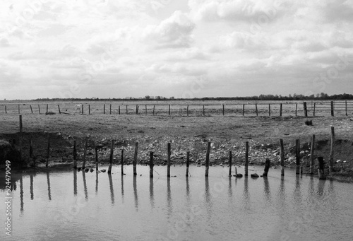 Entre Plaines et Marais